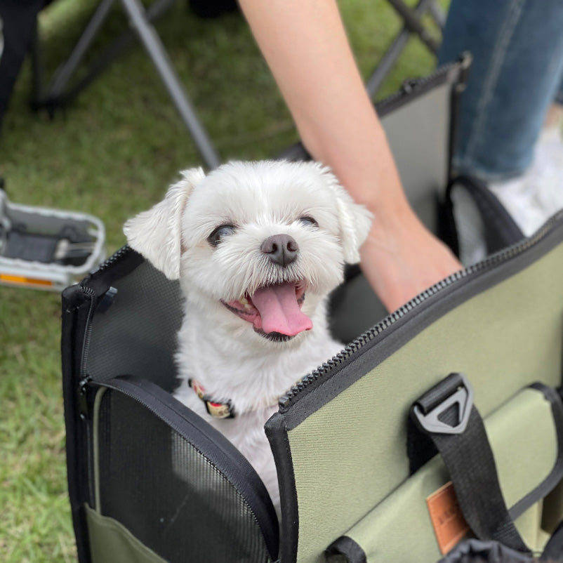 SoPoong Pet Carrier - Deep Green