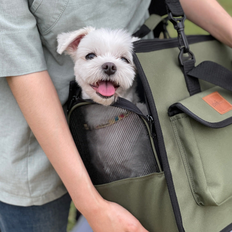 SoPoong Pet Carrier - Deep Green